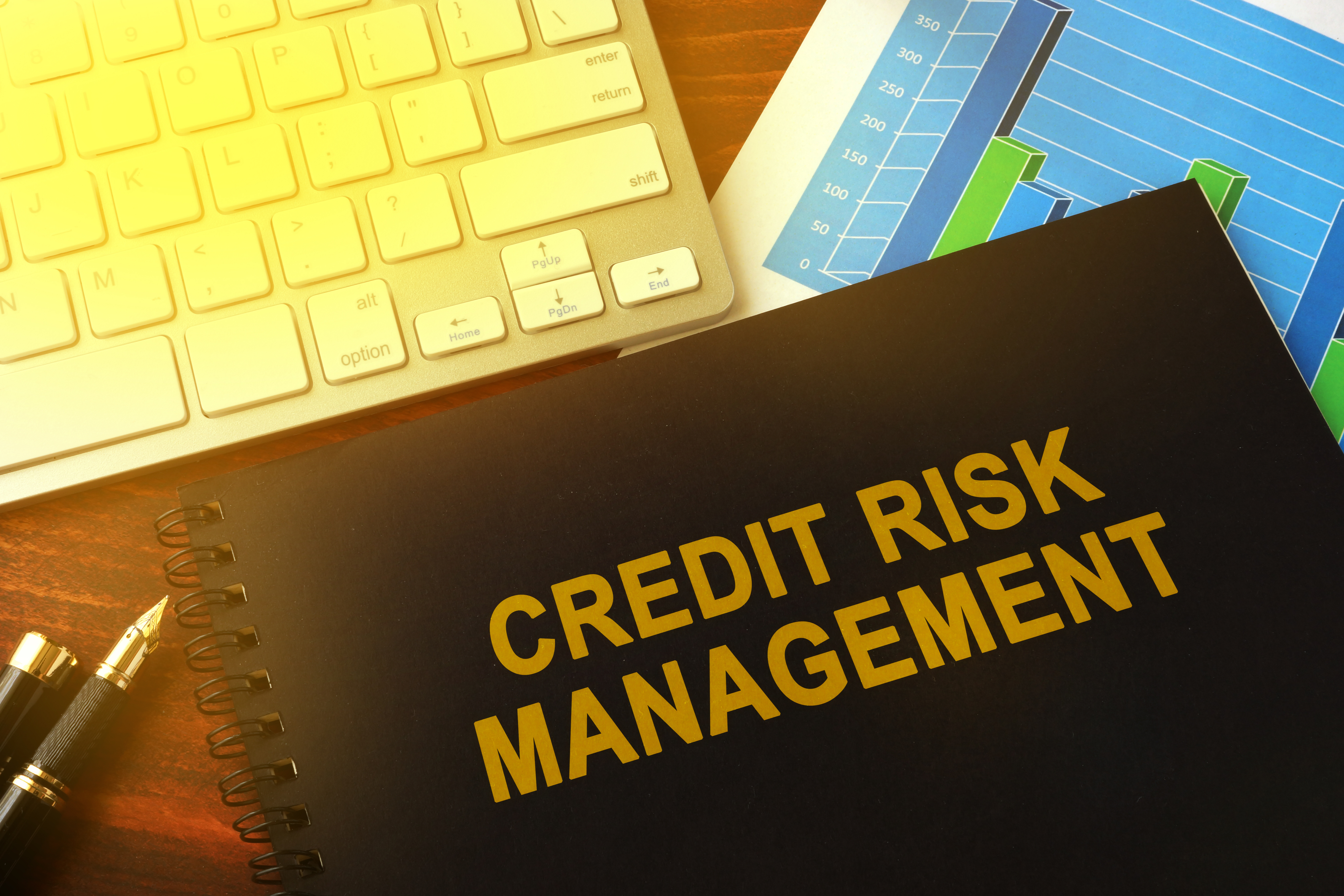 credit risk 