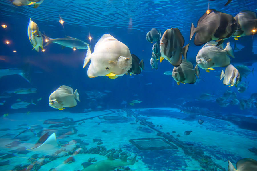 PHOTO GALLERY RIMS 2023, Sunday, April 30 Business Insurance