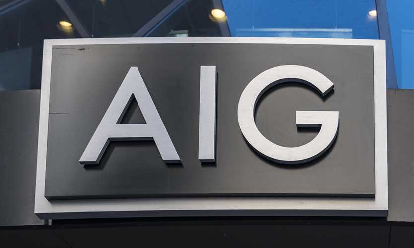 AIG acquires program manager/broker