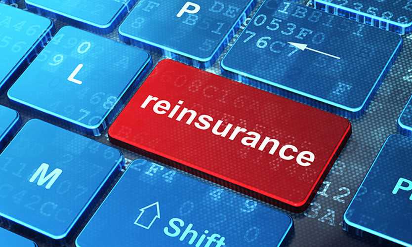 reinsurance 