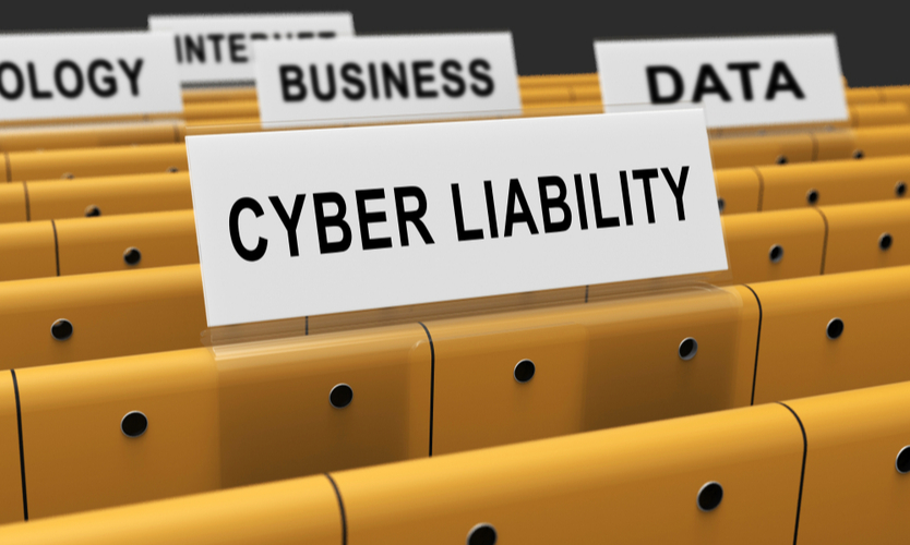 cyber liability