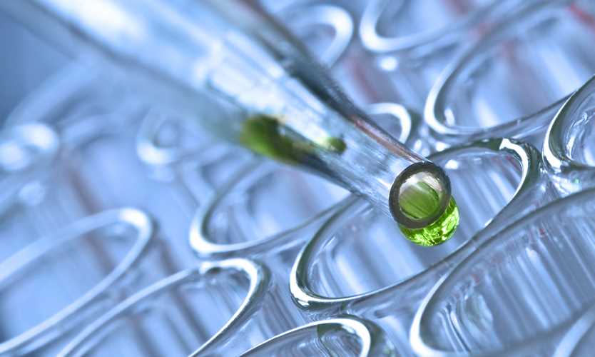 Everest Insurance taps former AIG exec to lead life