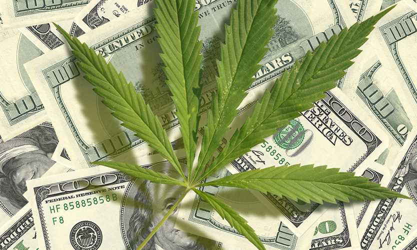 cannabis