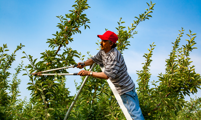 Oregon worker