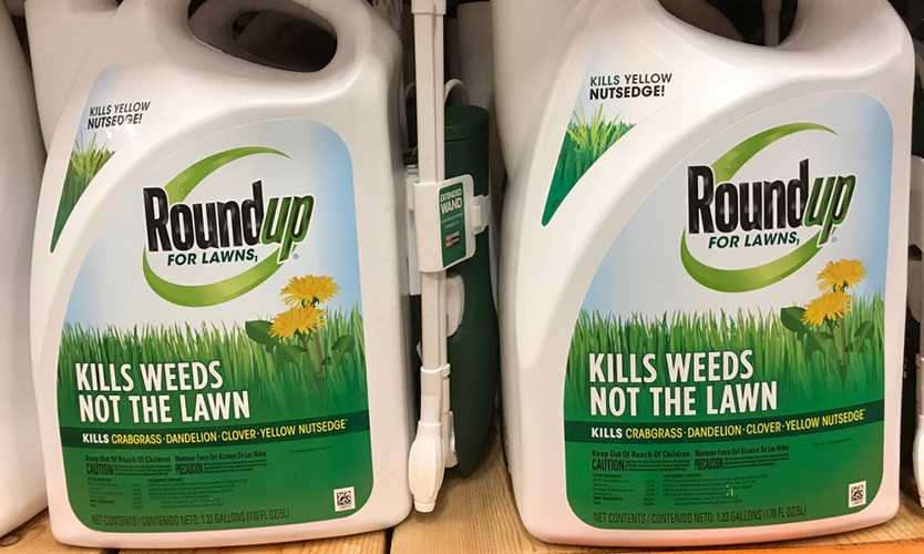 Bayer Roundup 