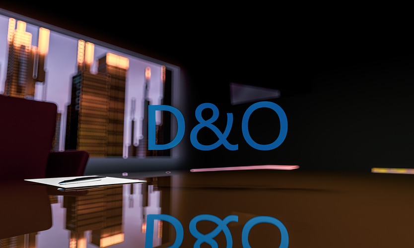 D&O