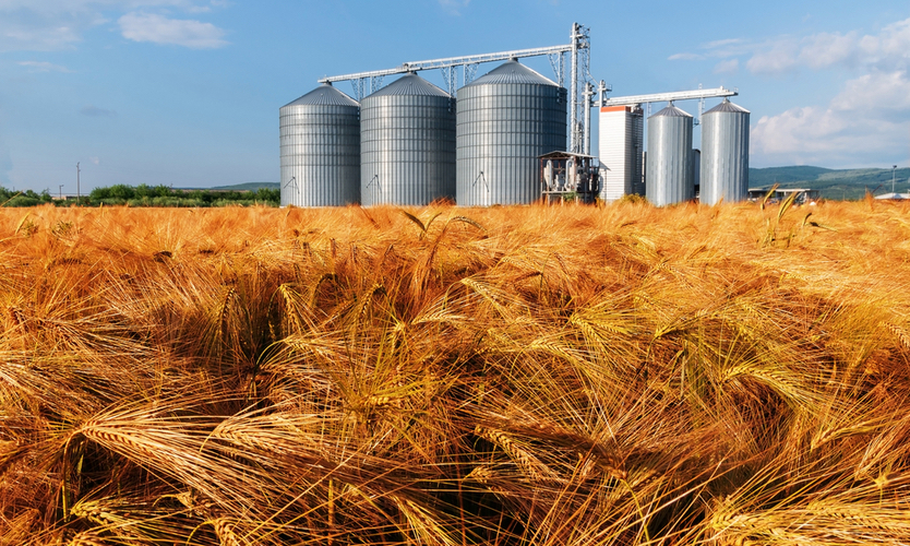 grain silo 