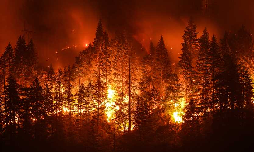 wildfires
