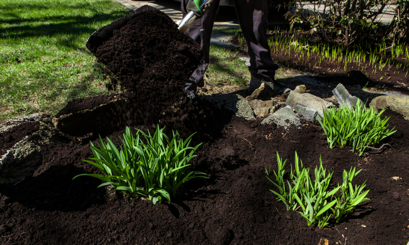 black mulch 