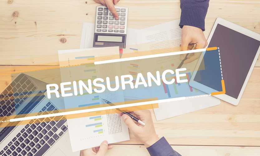 reinsurance 