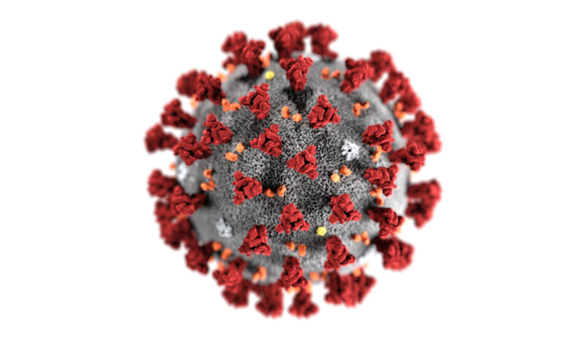 coronavirus