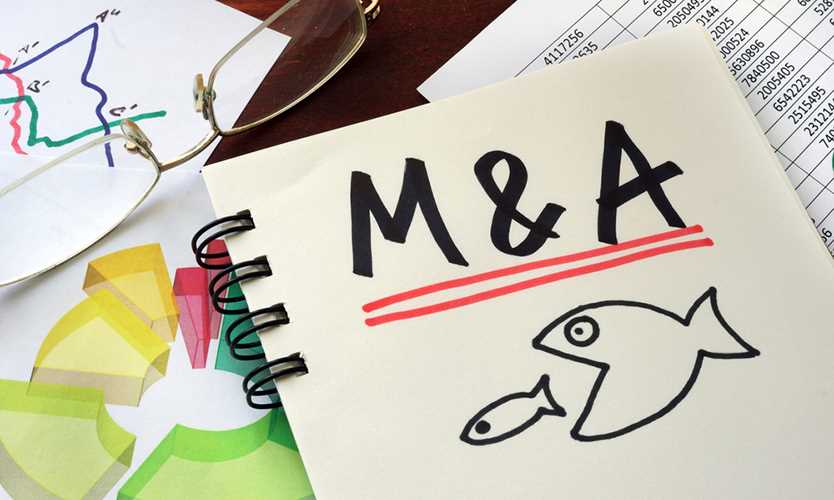 M&A