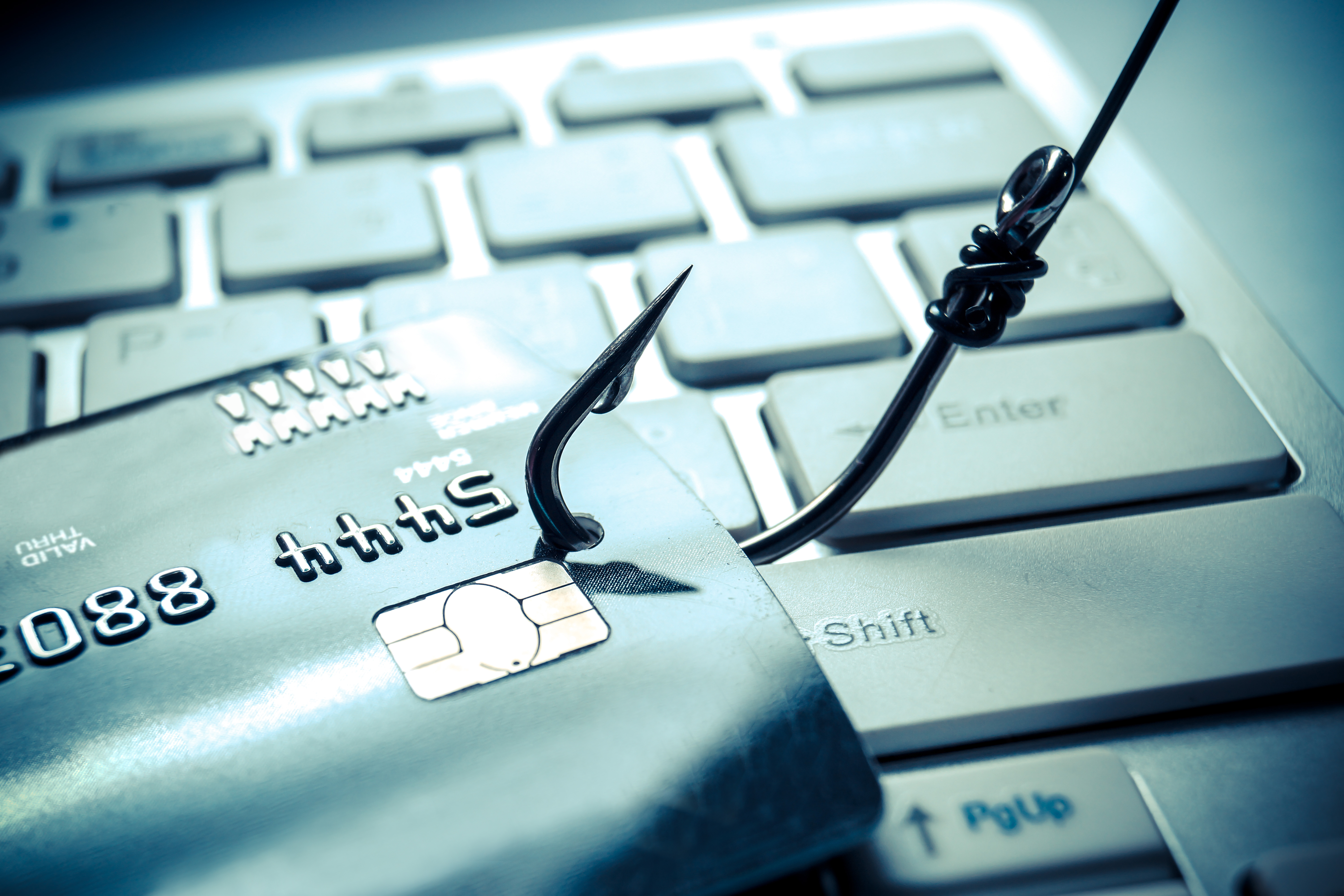 AIG, Beazley units prevail in phishing case