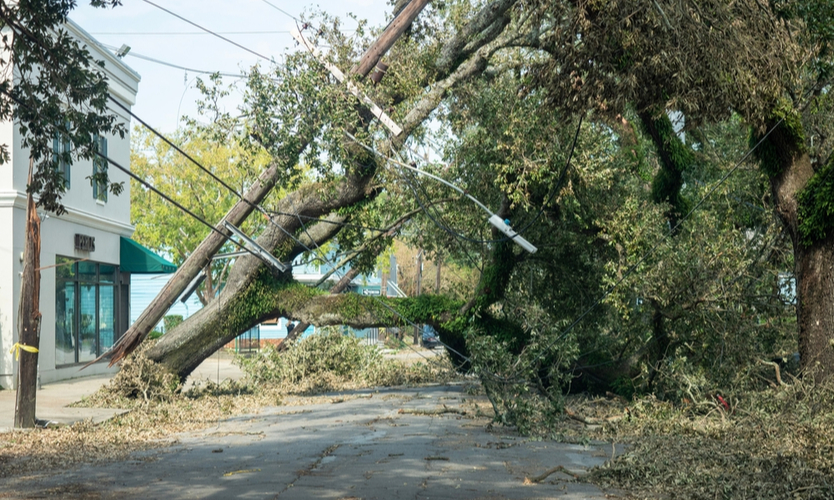 Hurricane Ida