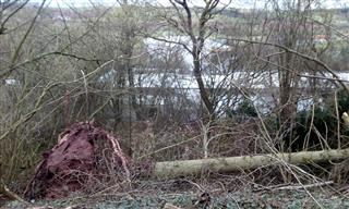 European cyclone causes $1.8 billion in insured losses Perils