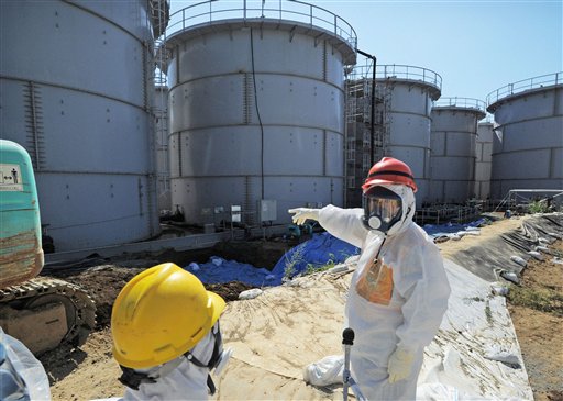 Japan official wants Fukushima operator Tepco to be liquidated