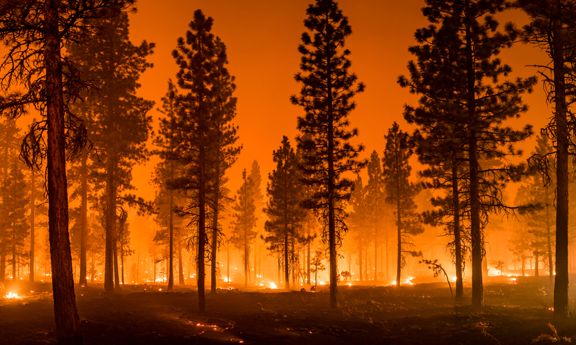 KCC releases wildfire model that accounts for climate change - Business Insurance