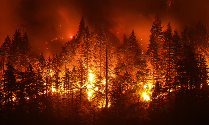 PG&E wildfires