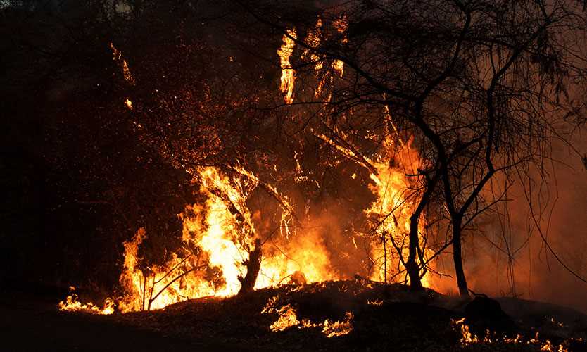 Mexico wildfire