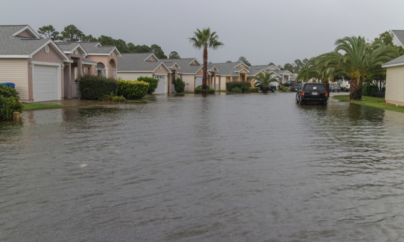 Renters Insurance Louisiana Hurricane Awesome