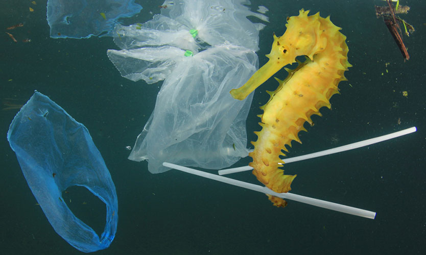 Plastic industry frets over plans to limit single-use items