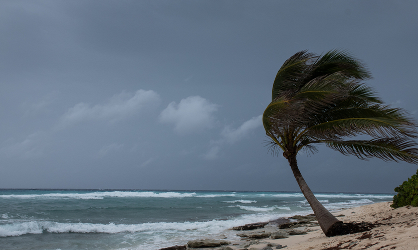 Hurricane Laura