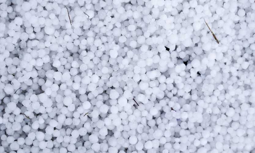 lloyd s wins hilton hail coverage dispute business insurance