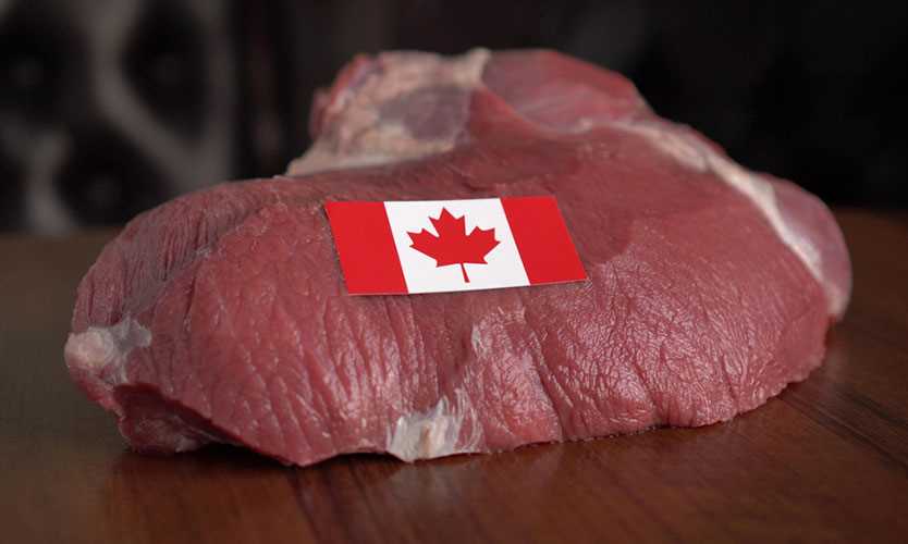 Canada beef