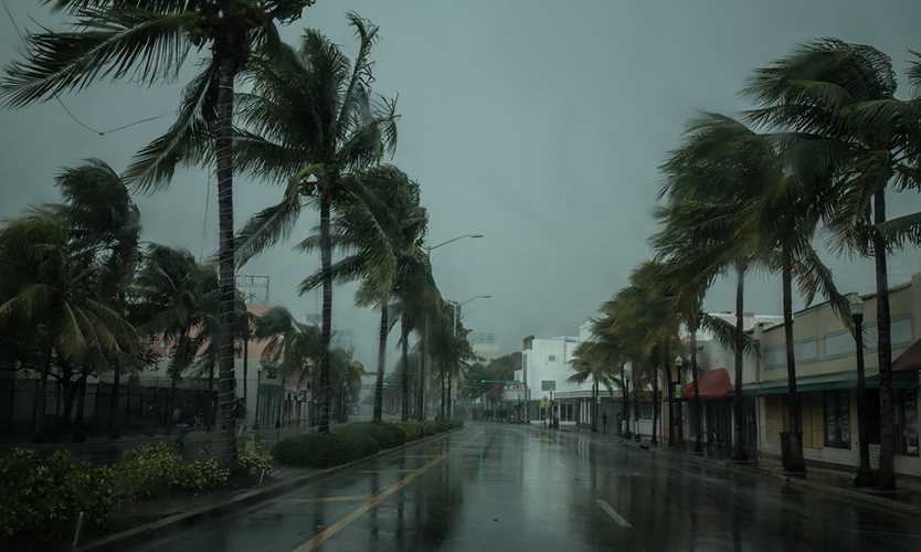 Irma to put reinsurance alternatives to the test